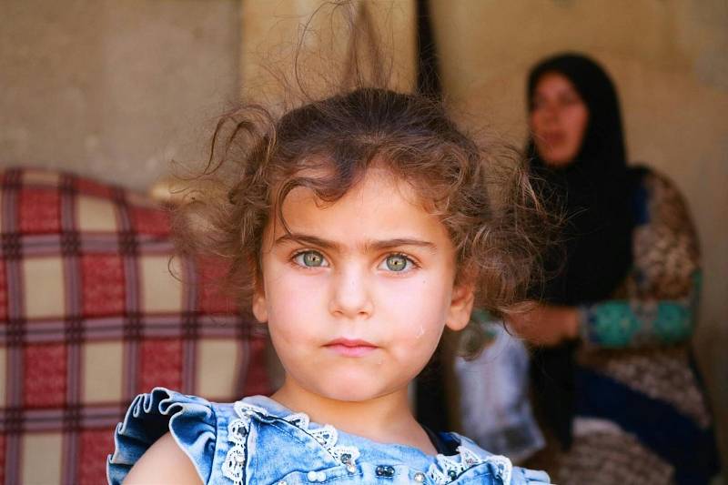 Photo by mohamad alshaekh yosef