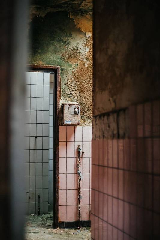 Photo by Jonas Denil