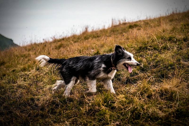 Photo by Ulysse Pointcheval