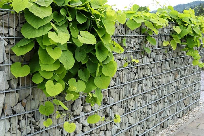 Gabion