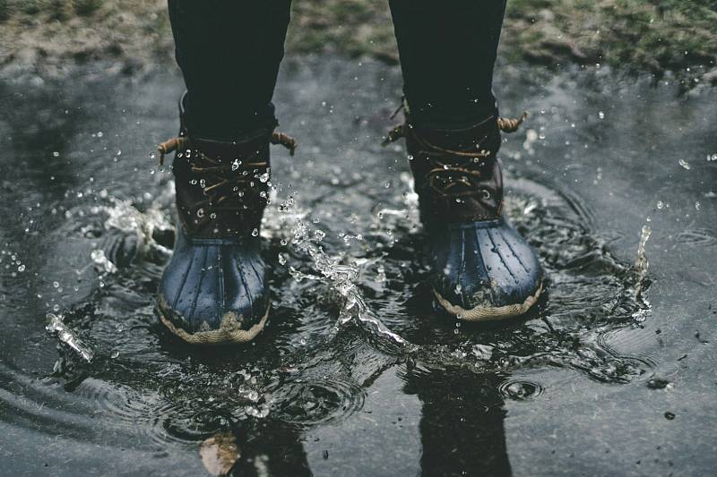 Photo by Zach Reiner