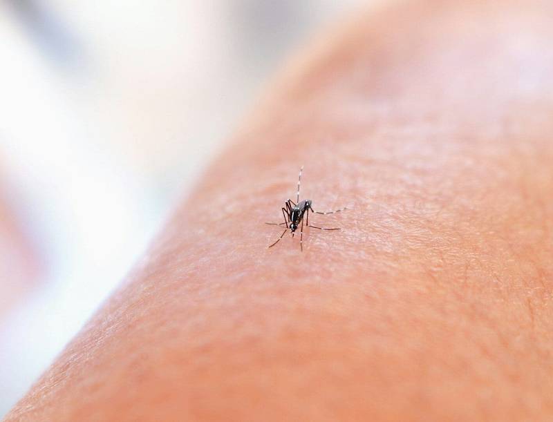 Photo by National Institute of Allergy and Infectious Diseases