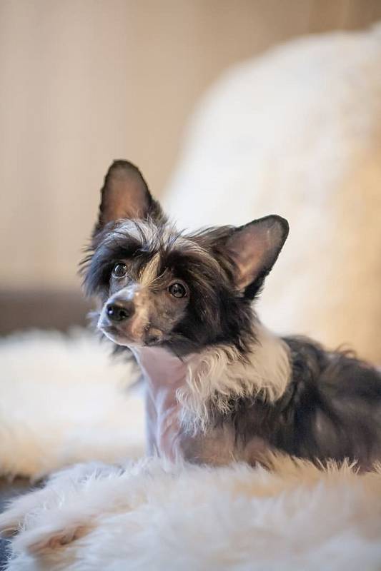 Photo by Kanashi