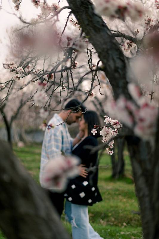 Photo by mohsen ameri