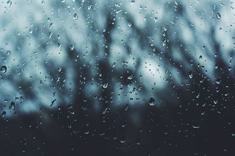 Photo by Noah Silliman