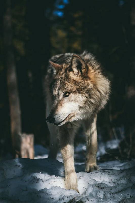 Photo by Andrew Ly