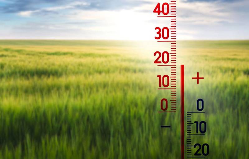 The,Thermometer,On,The,Background,Of,The,Field,Shows,20