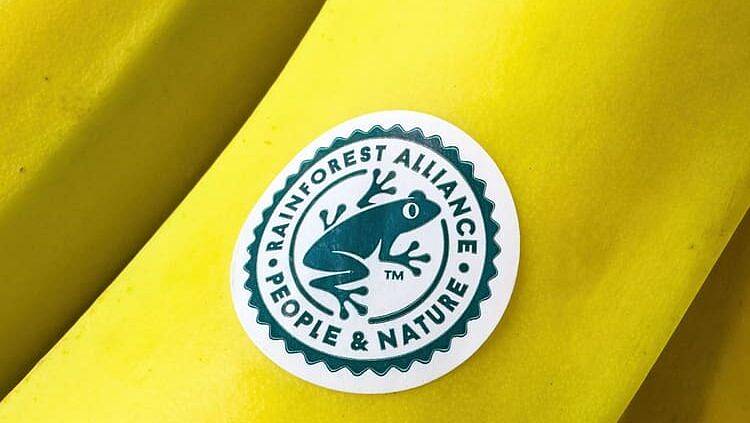Braunschweig,,Germany,-,February,10,,2024:,Bananas,Labeled,With,The