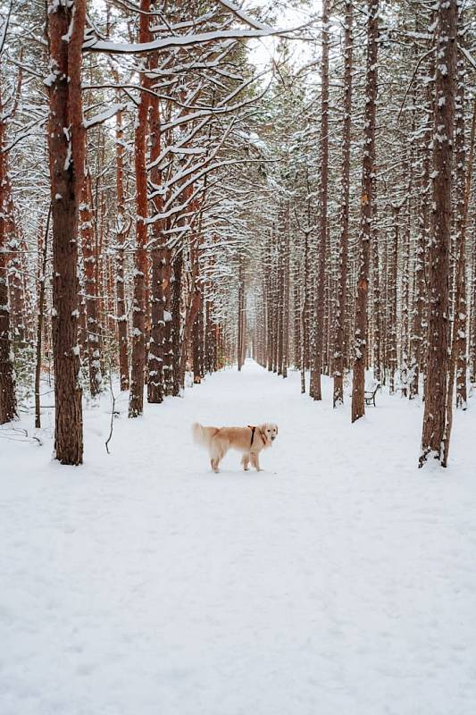 Photo by Maëva Vigier
