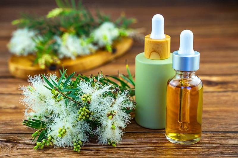 Two,Cosmetic,Bottles,With,Oil,And,Fresh,Tea,Tree,Branch.