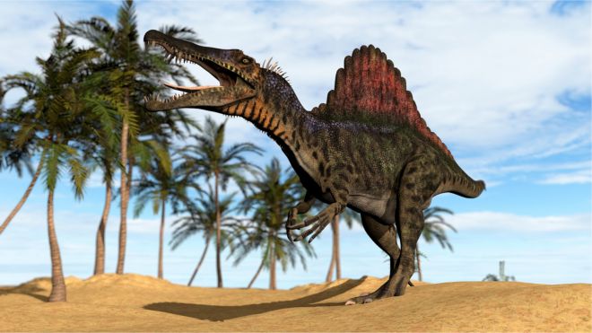 Spinosaurus