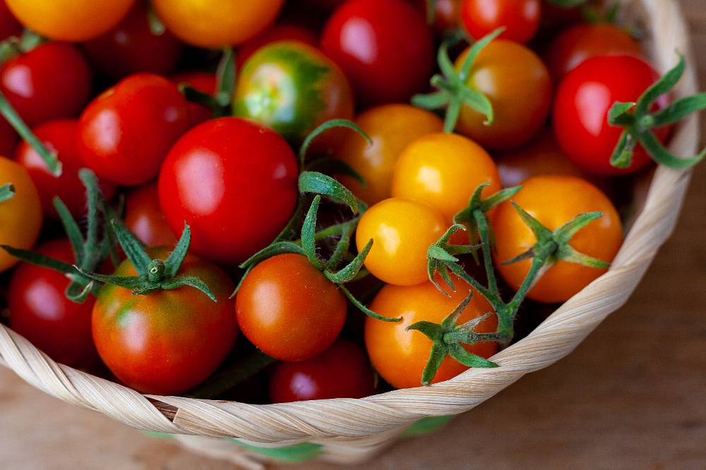 Cherry rajčata