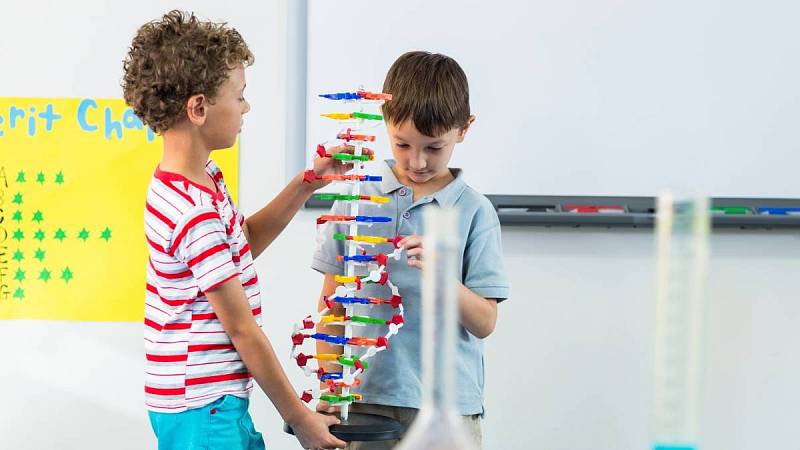 Roztomilí školáci drží model DNA ve třídě.