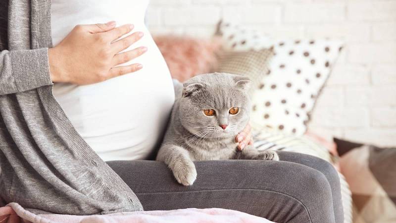 Kočka v těhotenství pomáhá odbourat úzkost.