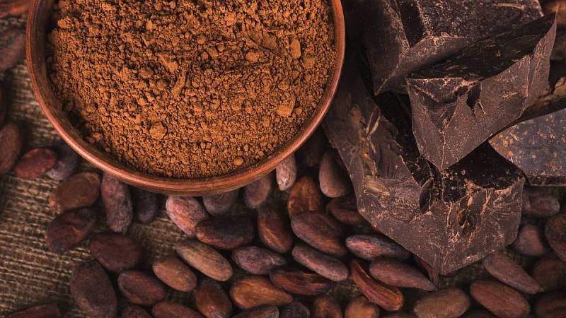 Největší produkce kakaových bobů je na Pobřeží slonoviny a v Ghaně
