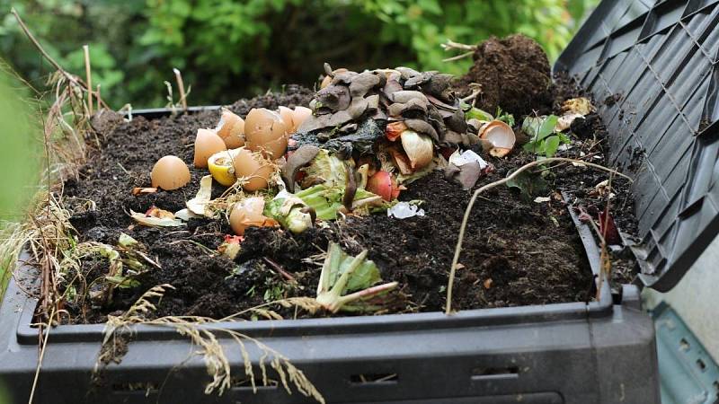 Kompost je pro trvalky velmi vhodným hnojivem