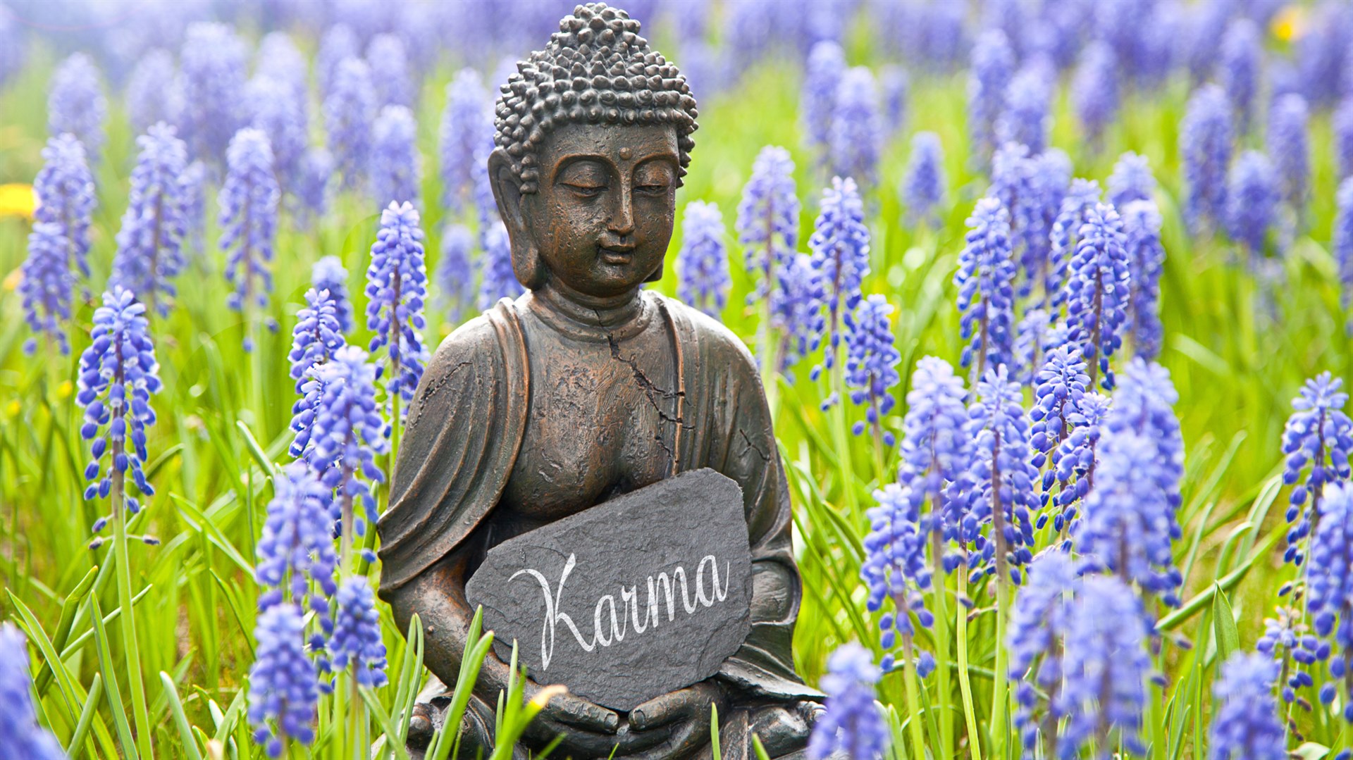 Karma Colonge Karmalogie - karma v numerologii