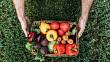 10 tipů, jak si vypěstovat vlastní úrodu zeleniny plnou chutí a vitamínů