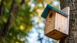 Zahradní ptactvo si vás díky budkám ke hnízdění oblíbí: Je však důležité zavěsit je dostatečně vysoko