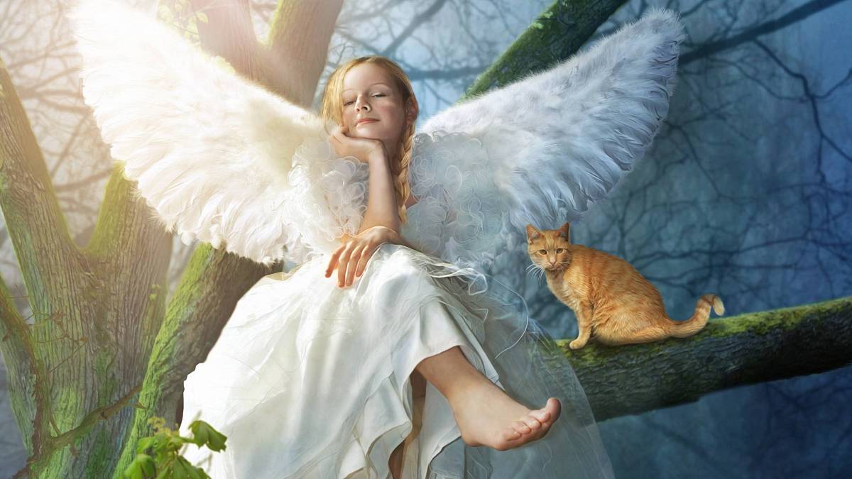 Andělský horoskop na tento týden: Blíženci připravte se na odpuštění, Štíři čeká vás transformace Andělský horoskop na tento týden: Blíženci připravte se na odpuštění, Štíři čeká vás transformace