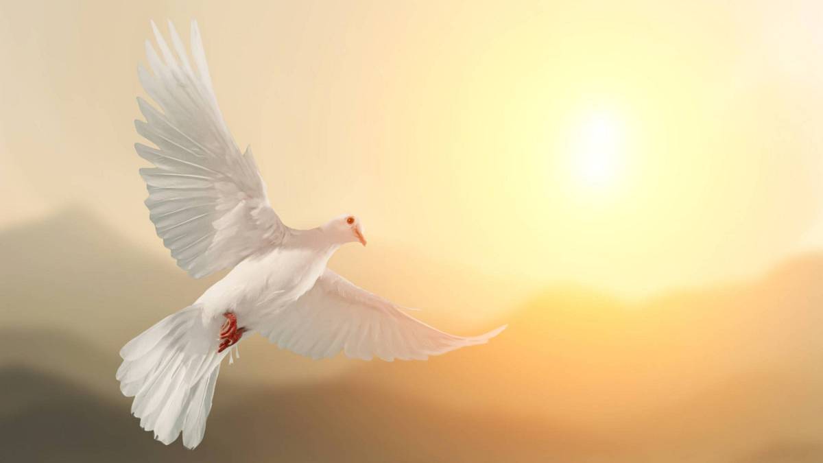 Poselství andělů na pondělí: Štíři, více věřte, Raci, hledejte přítomnost dobrých lidí