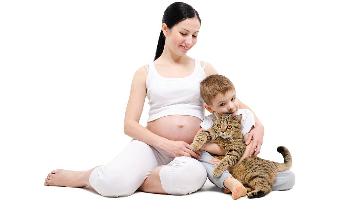Těhotenství provází strach z toxoplazmózy. Kočky se ale zbavovat nemusíte