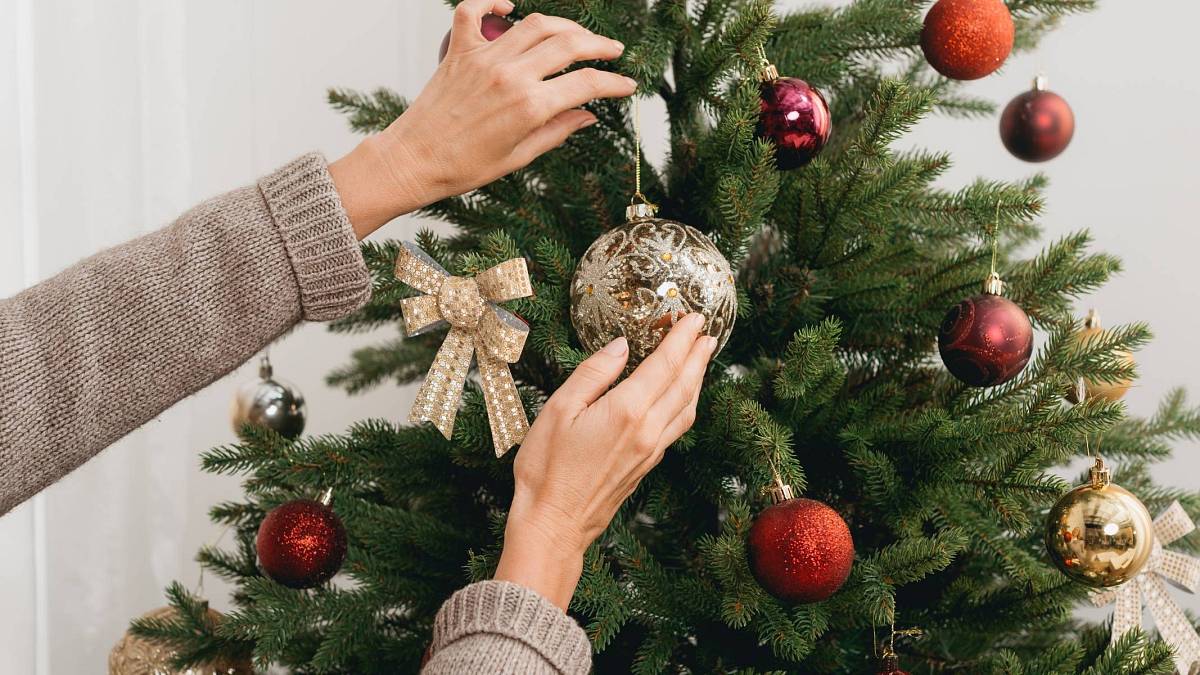 Hlavní symbol Vánoc – stromek. Vyberte ten nejlepší