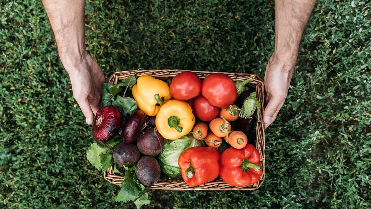 10 tipů, jak si vypěstovat vlastní úrodu zeleniny plnou chutí a vitamínů 10 tipů, jak si vypěstovat vlastní úrodu zeleniny plnou chutí a vitamínů
