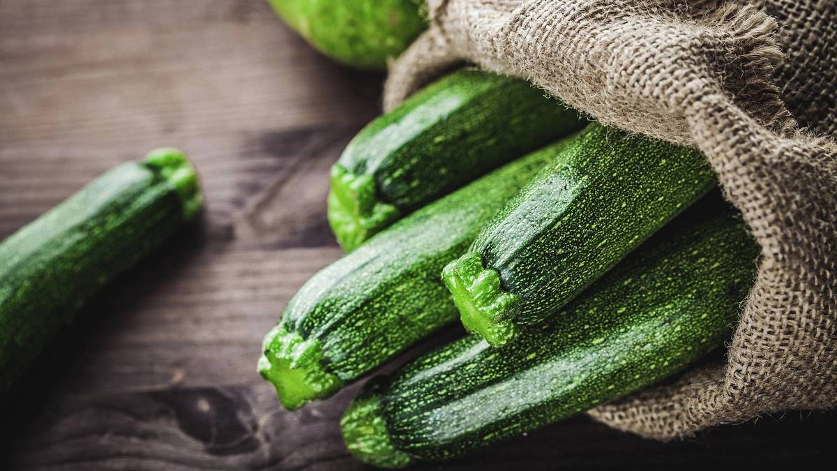 Záplava cuket na zahradě? Správně skladované cukety se vám odvděčí nejen čerstvostí, ale také kvalitou Záplava cuket na zahradě? Správně skladované cukety se vám odvděčí nejen čerstvostí, ale také kvalitou