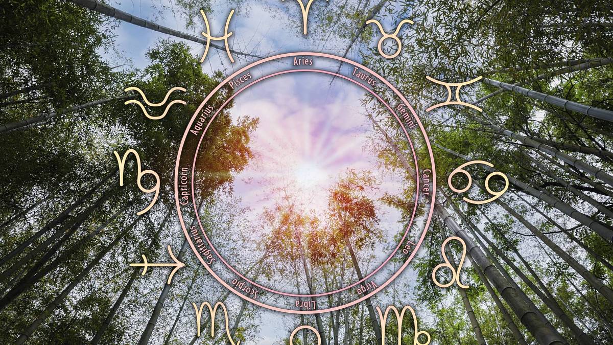 Denní horoskop na středu 7. 8. 2024: Panny přeplánují svůj život a Střelci zatouží po dobrodružství Denní horoskop na středu 7. 8. 2024: Panny přeplánují svůj život a Střelci zatouží po dobrodružství
