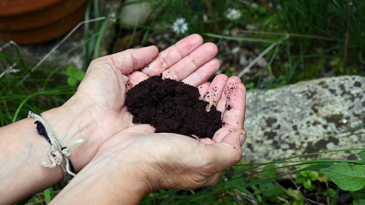 1 lžíce tohoto zázračného přírodního hnojiva způsobí, že vaše rostliny budou silnější a budou lépe odolávat stresu 1 lžíce tohoto zázračného přírodního hnojiva způsobí, že vaše rostliny budou silnější a budou lépe odolávat stresu