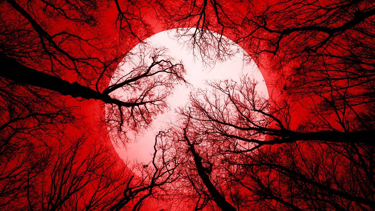 Horoskop na červnový jahodový úplněk 2025: Co přinese nejsilnější úplněk za posledních 150 let? Horoskop na červnový jahodový úplněk 2025: Co přinese nejsilnější úplněk za posledních 150 let?