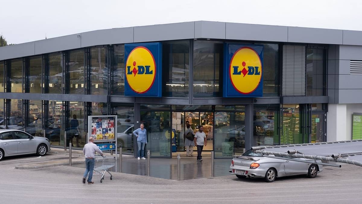 Jakou výplatu dostává prodavačka v Německém Lidlu. V Česku to nemají ani doktoři
