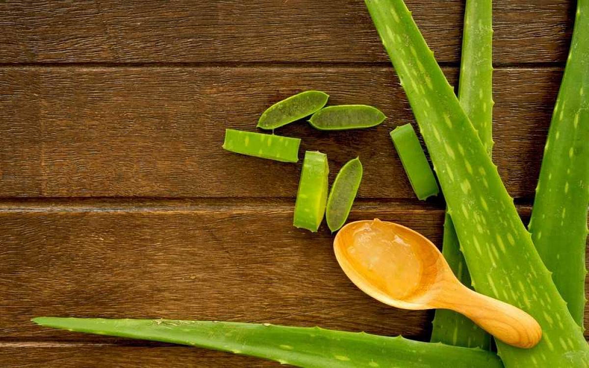 Jak na hydrataci pleti. Vyzkoušejte aloe vera Jak na hydrataci pleti. Vyzkoušejte aloe vera