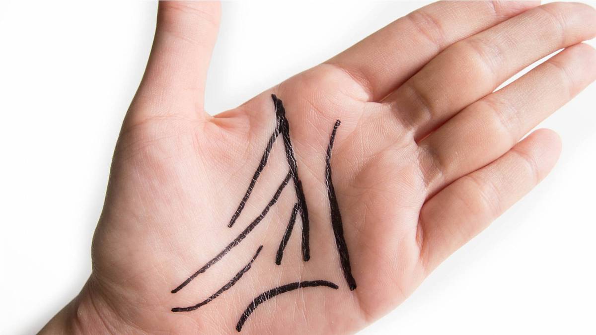 Jak zjistit, kolik budete mít dětí? Podle počtu čar na rukou Jak zjistit, kolik budete mít dětí? Podle počtu čar na rukou