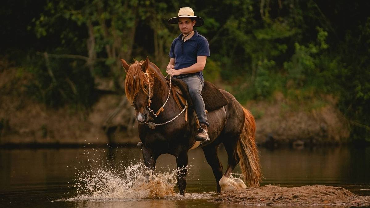 Co přesně v Tarotu znamená ten "Jezdec"?