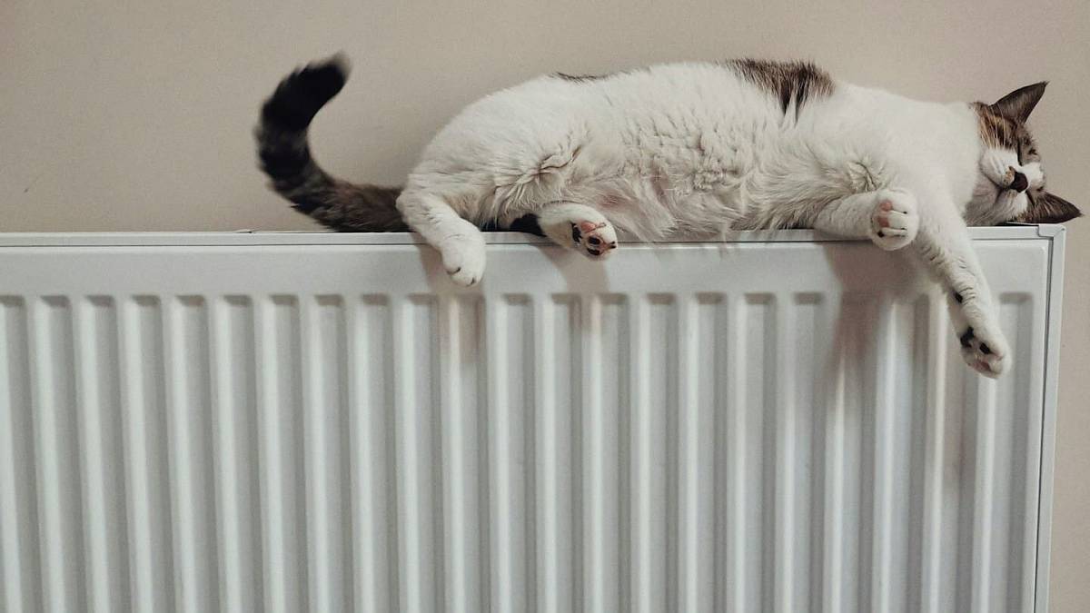 Zapomeňte na klasické podlahové topení. Tyto tenoučké pásy si položíte sami a bez bourání