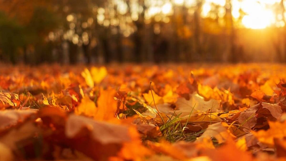 Meteorologové právě zveřejnili první předpověď na podzim 2026. Je kritická
