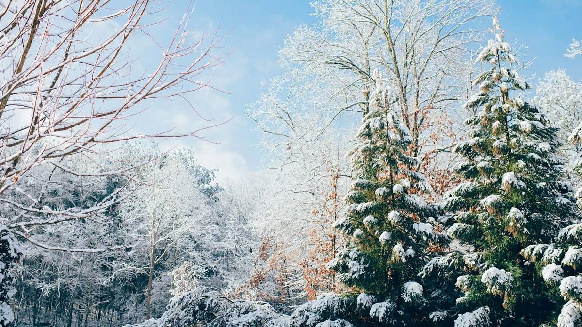 Meteorologové varují. To co přijde 1. týden v únoru, překvapí i otrlé