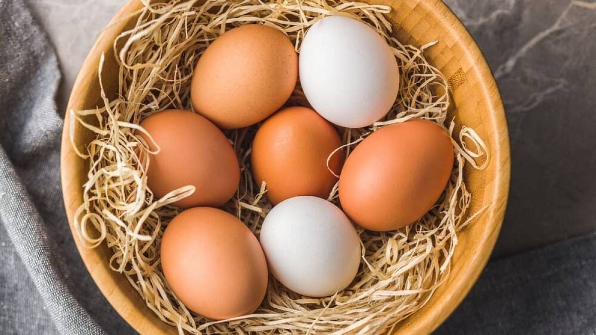 Kardiolog radí, jak jíst vejce, aby byly zdravé. Existuje jediný správný způsob