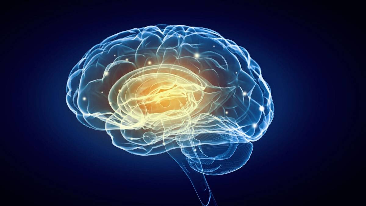 KVÍZ: Víte, jak emoce ovlivňují náš život? Zkuste si náš kvíz o lidské psychice