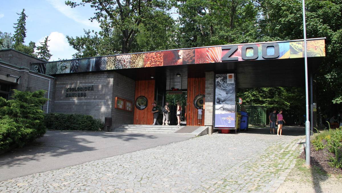 Česko pláče nad uhynulým lachtanem Hugem z liberecké zoo. V jeho těle našli hlavu panenky
