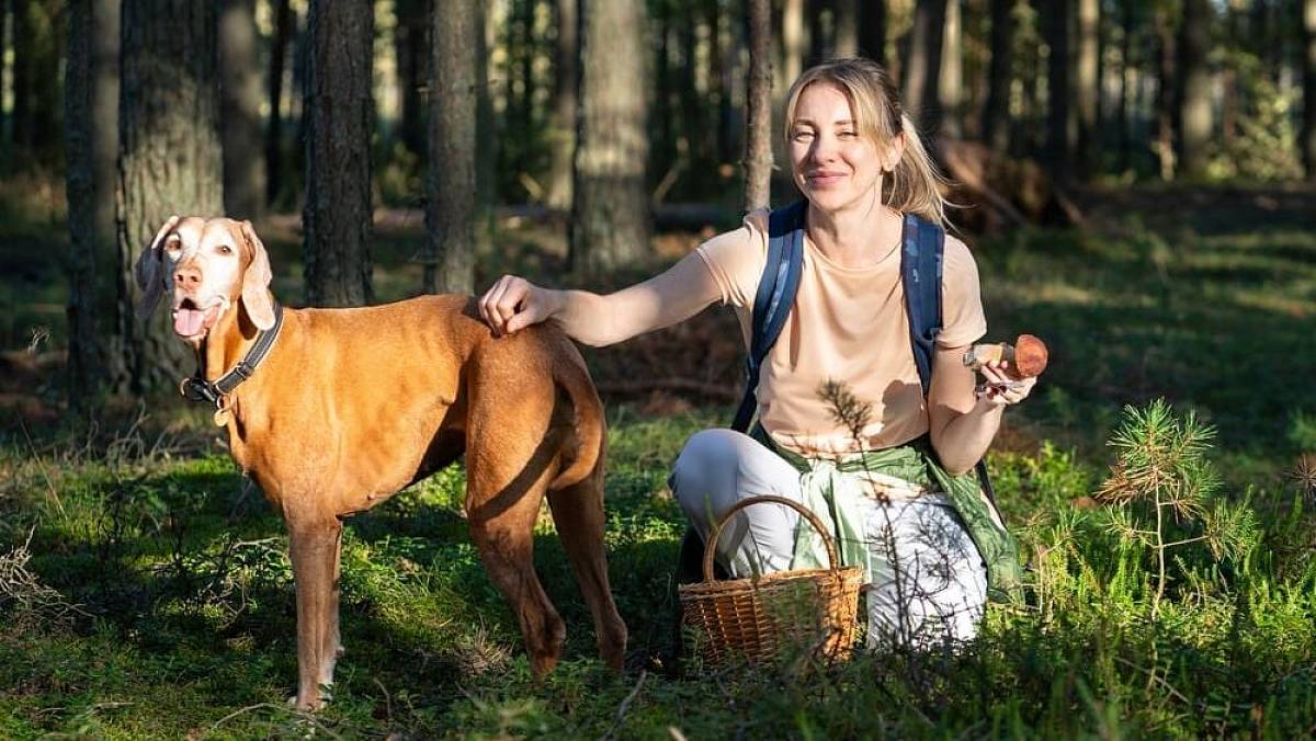 Meteorologové vydali předpověď na září. Počasí se vymkne normálu ve všech směrech