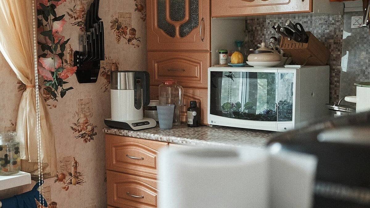 Seznam potravin, co nesmí do mikrovlnky. Po ohřátí jsou buď hnusné nebo jedovaté