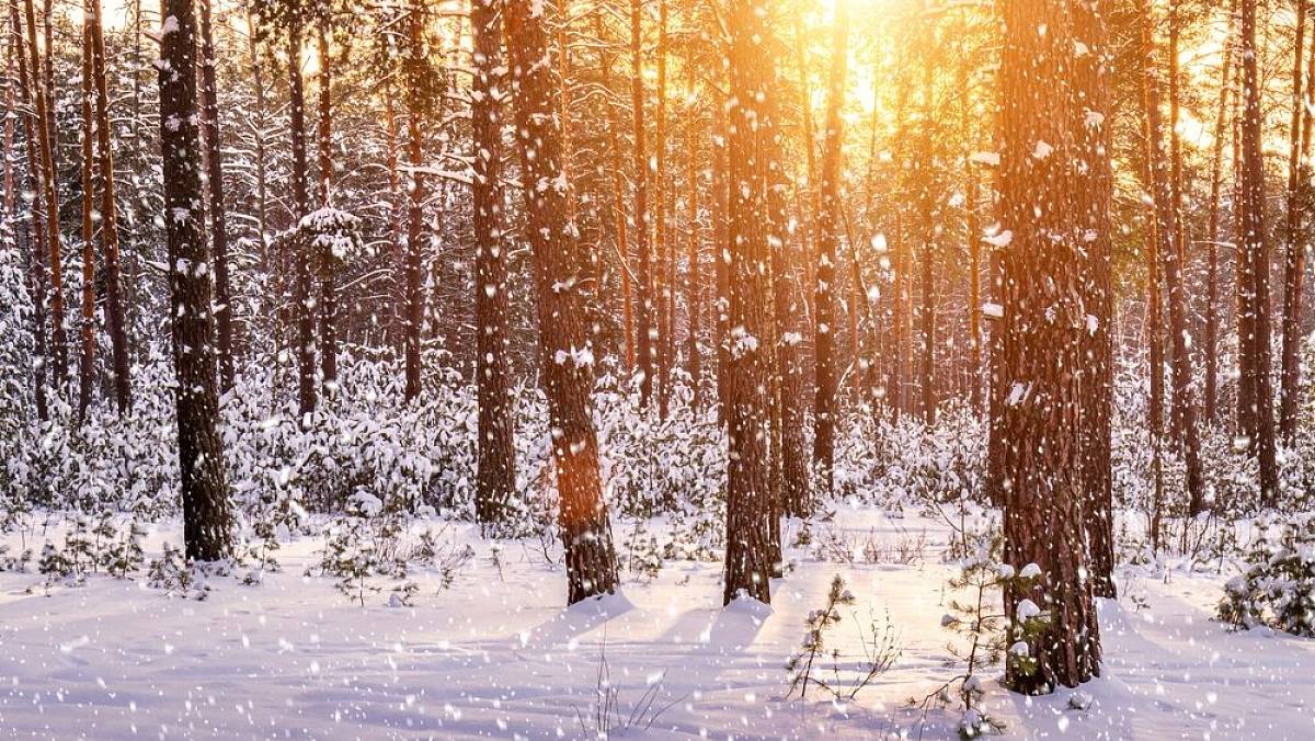 První sníh napadne už v září. Předpověď počasí na příští měsíc překvapila i meteorology
