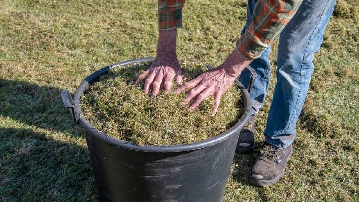 Nejlepší způsob, jak naložit s posekanou trávou. 90 % Čechů na to nepřijde