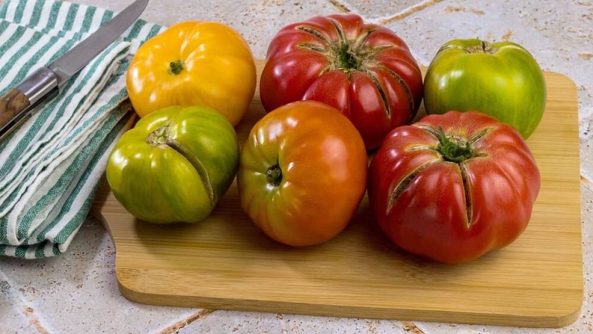 Zelená rajčata nevyhazujte. Díky jednoduchému triku vám krásně dozrají doma