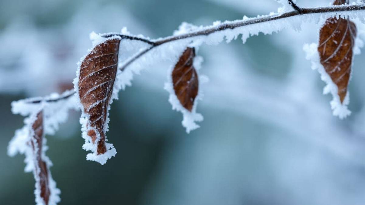 Velké zklamání pro celé Česko. Meteorologové vydali první velkou předpověď na zimu 2026/27
