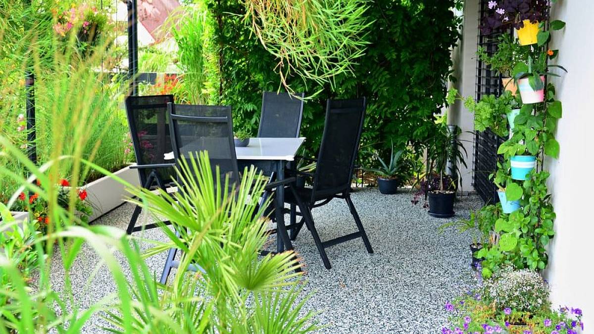 Zapomeňte na štěrk i beton. České zahrady dobývají nádherné odolné koberce