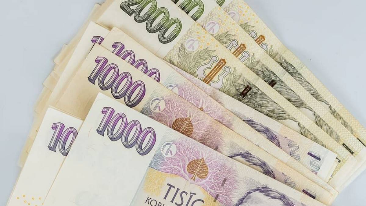 Stát vyhlásil nové dotace. Češi mohou žádat až o 289 000 Kč